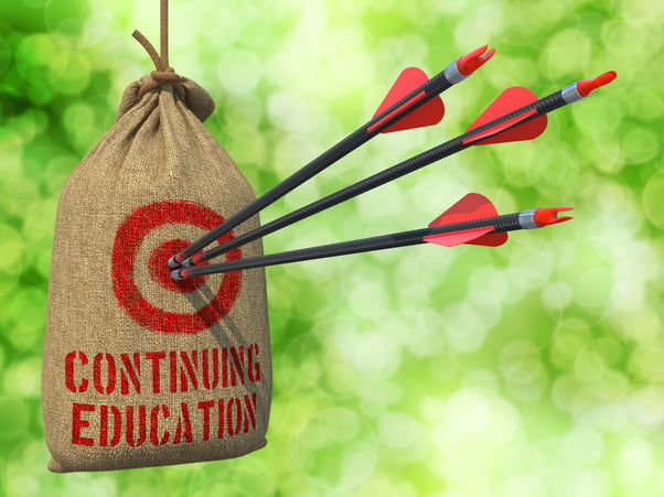 Continuing Education- Three Arrows Hit in Red Target on a Hanging Sack on Natural Bokeh Background.