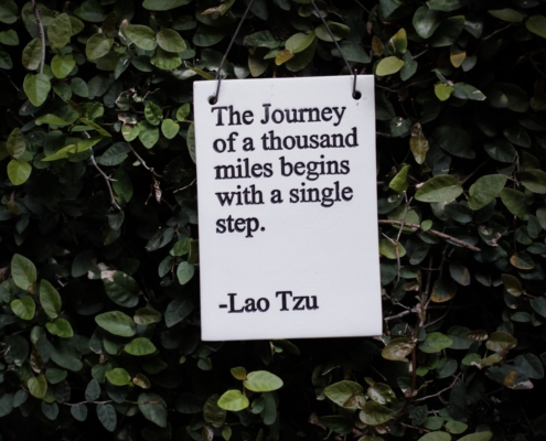 The Journey of thousand miles begins with a single step Lao Tzu