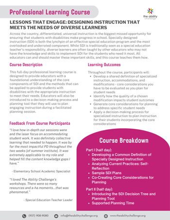 SDI Overview for Website